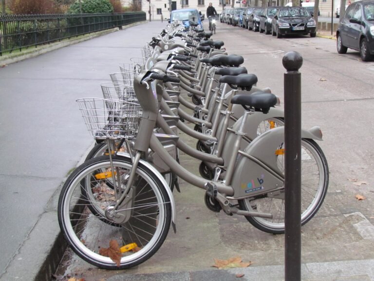 Velib' Parisian Bikeshare Service